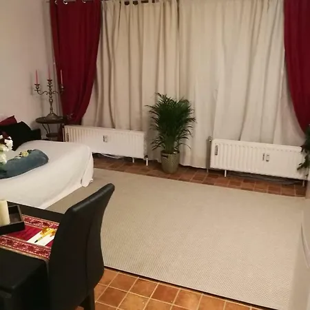 Charlottalei 33. Flat-studio. Stadspark *